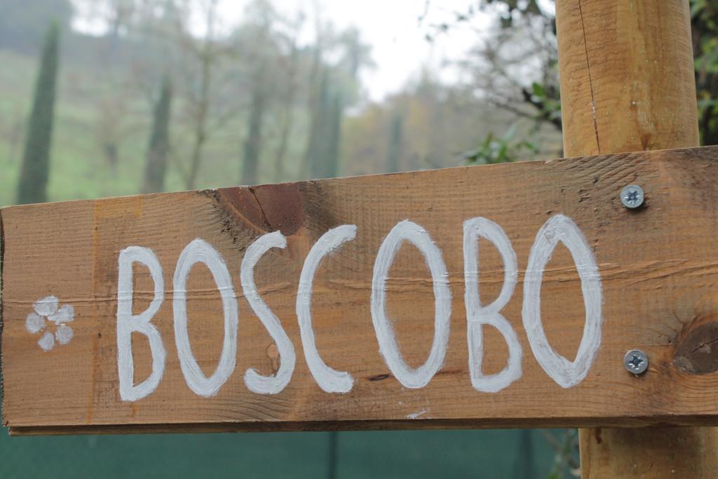 Boscobo - Relax & Natura 博洛尼亚 外观 照片